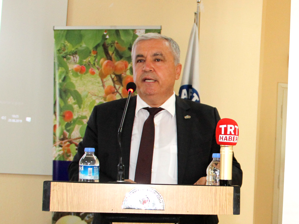 Ege Zeytin ve Zeytinyağı İhracatçıları Birliği Başkanı Er, Mut Zeytini İlaçsız